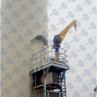 中際聯合3slift船舶吊機，平臺吊裝貨物設備圖片1